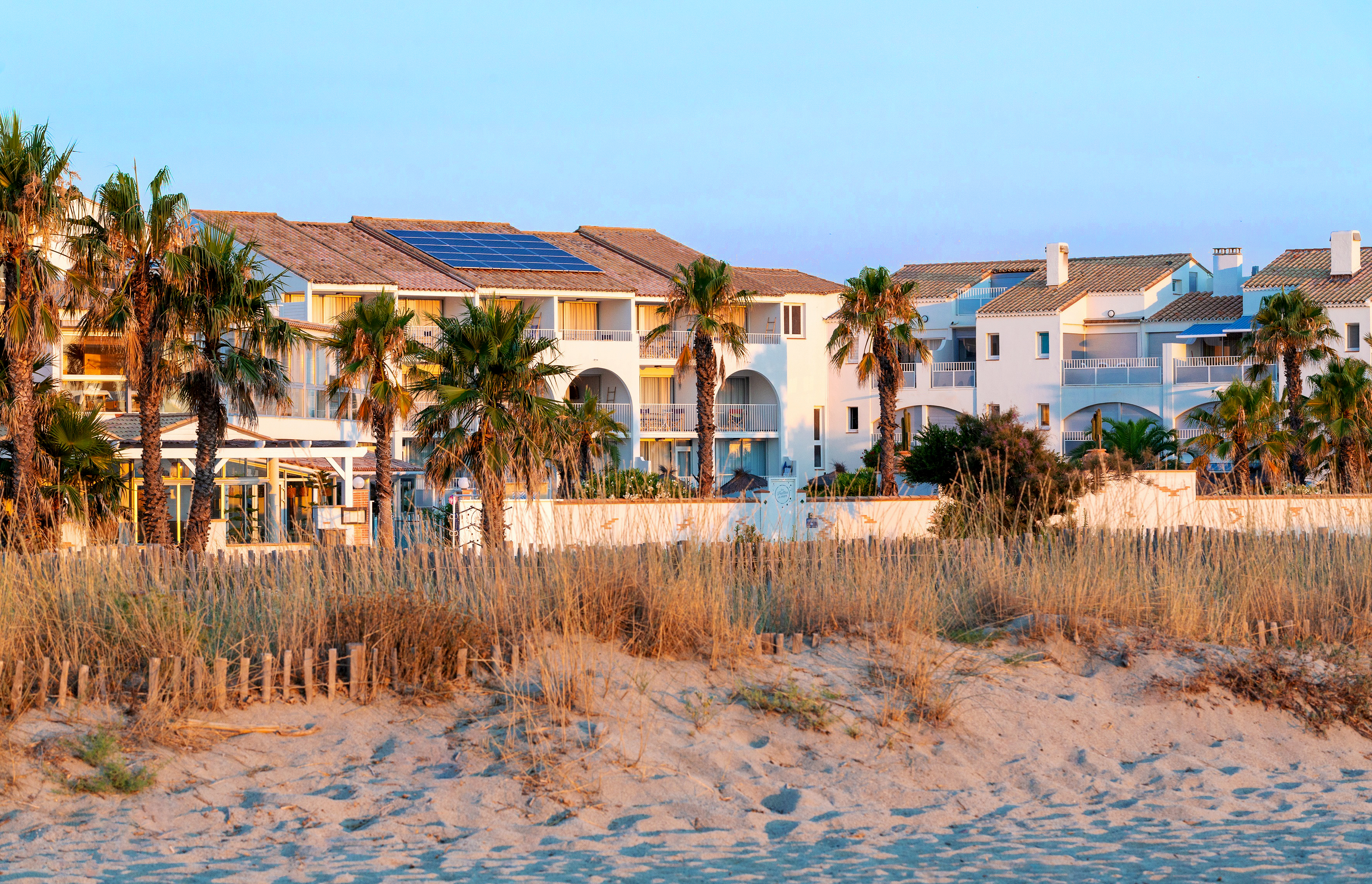 Buildings overlooking the beach, surrounded by palm trees and sand dunes at Les Bulles de Mer