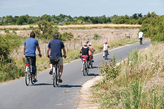 Cyclists riding on a paved path through a rural landscape with green fields and trees at Seasonova Ile de Ré