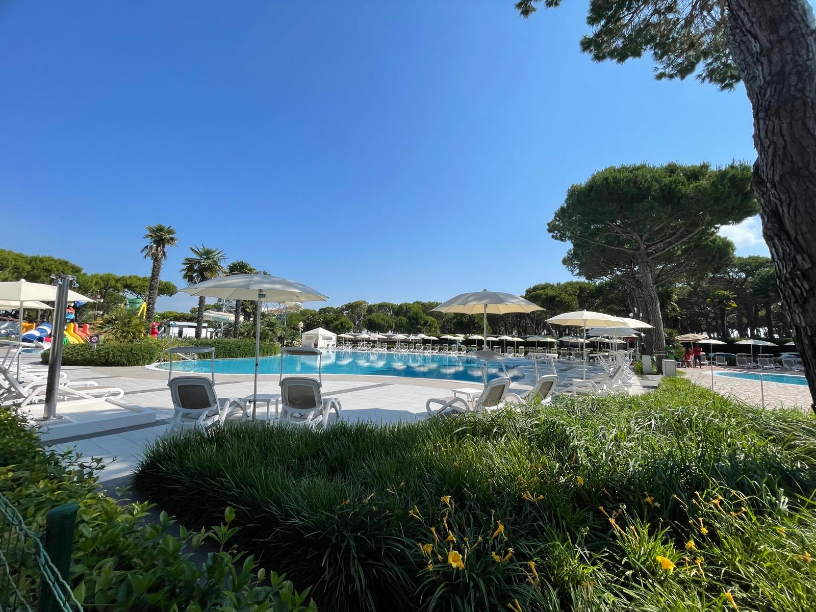 Sun loungers under umbrellas beside a swimming pool, surrounded by palm trees and greenery at Residence Village