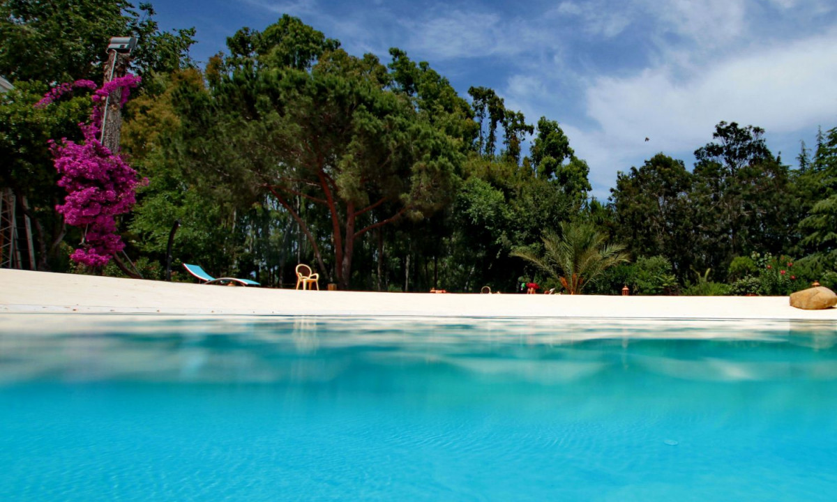 At Ultima Spiaggia, a serene pool features calm waters surrounded by lush vegetation and trees, comfortable loungers, and bright skies.
