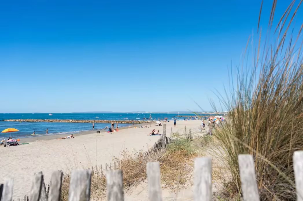 At Les Jardins de Tivoli, a sandy shore is crowded with individuals lounging in the sun and swimming, surrounded by greenery and a wooden barrier, beneath a clear azure sky.