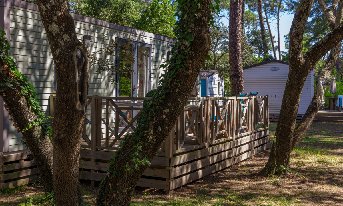 At La Sousta, a mobile residence with a wooden porch is nestled among towering trees and filtered sunlight.