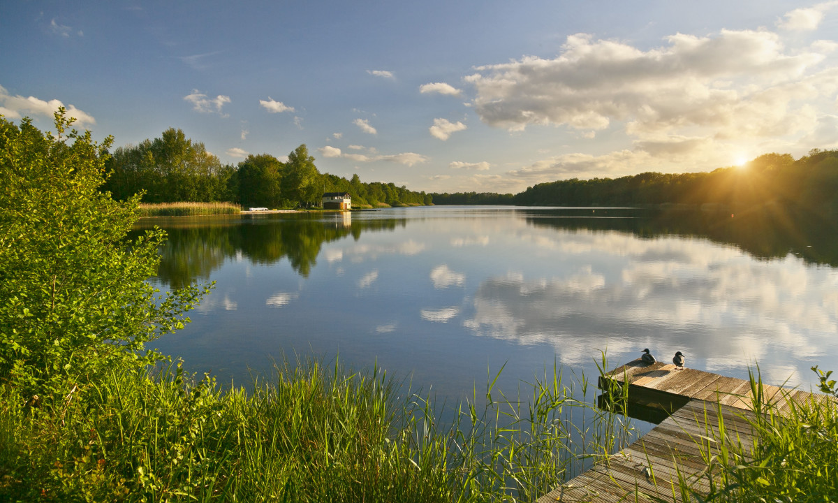 At KNAUS Campingpark Oyten, a serene lake mirrors the sky and surrounding trees, with a pair of ducks lounging on a wooden pier, and vibrant foliage nearby.