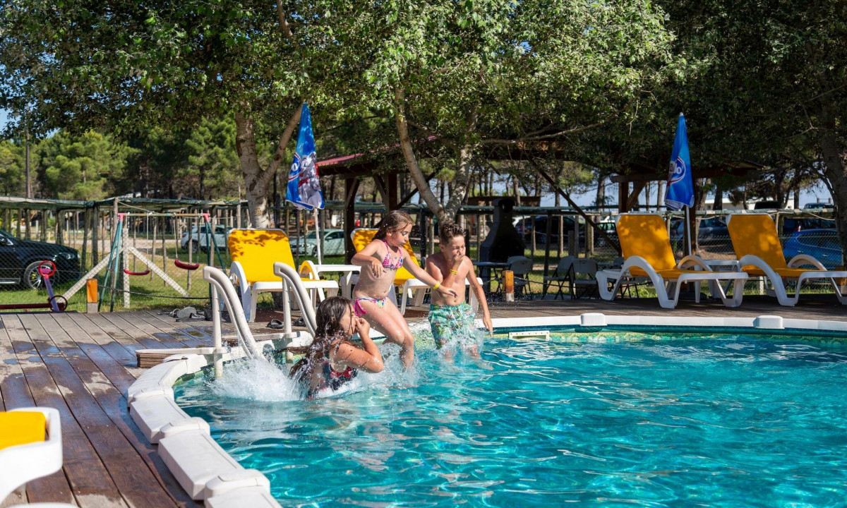 Children jumping into an outdoor pool, surrounded by lounge chairs and trees at MCM Camping
