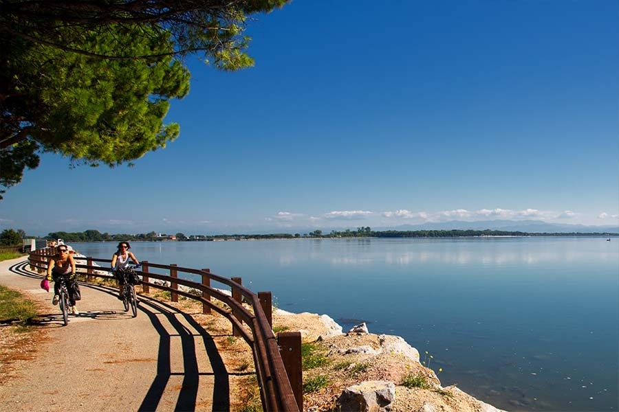 Cyclists riding along a lakeside path with a wooden fence, next to calm water under a clear blue sky at Belvedere Pineta