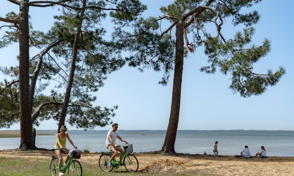 People ride bicycles along a sandy lakeside path, surrounded by tall pine trees, with a calm lake in the background at Maguide