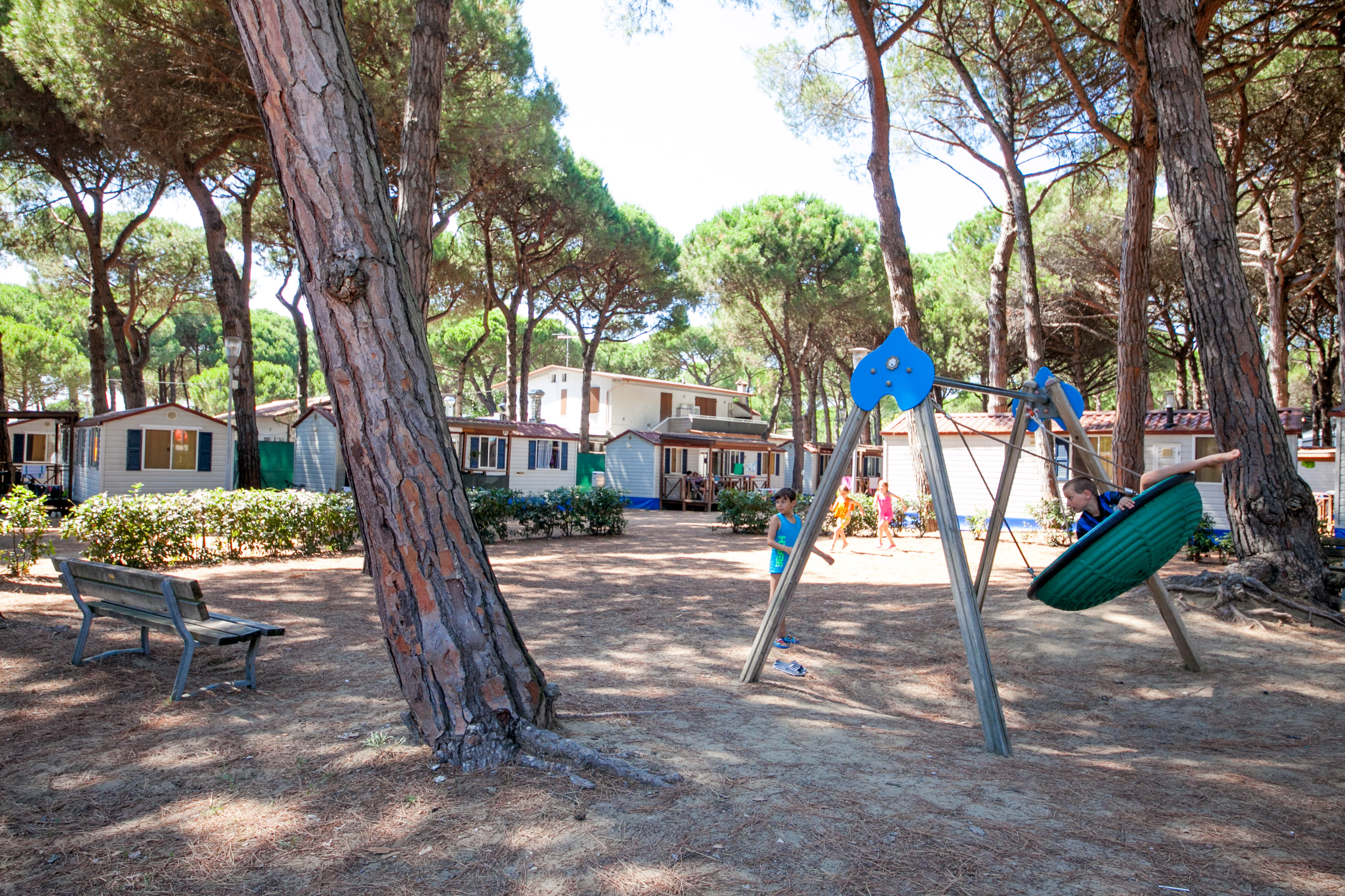 Children playing on a swing set amid tall pine trees, with cabins in the background at Pineta Sul Mare Camping Village