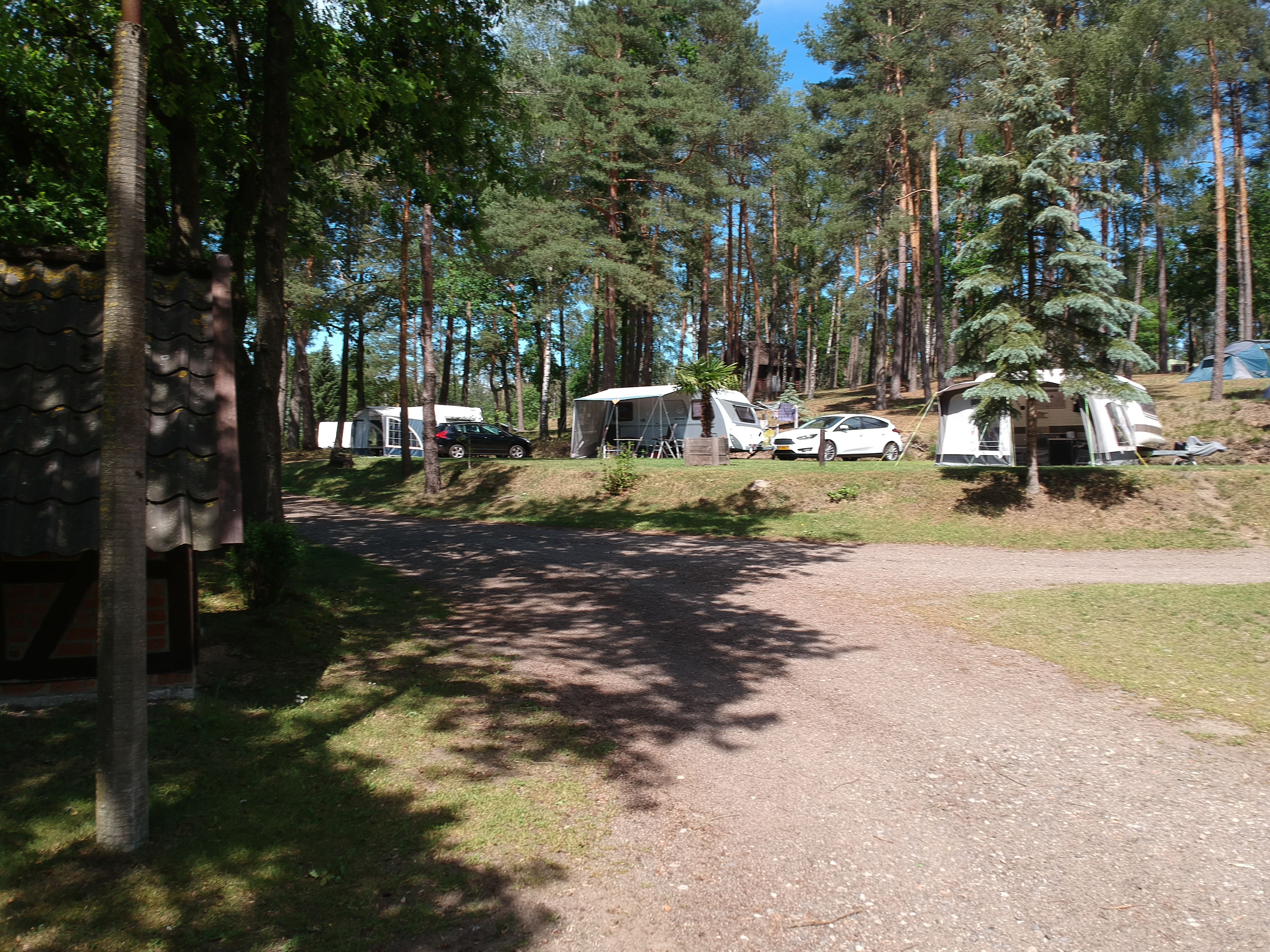 At Sonnenberg, caravans and vehicles are stationed on a wooded campsite with gravel pathways, encircled by towering trees.