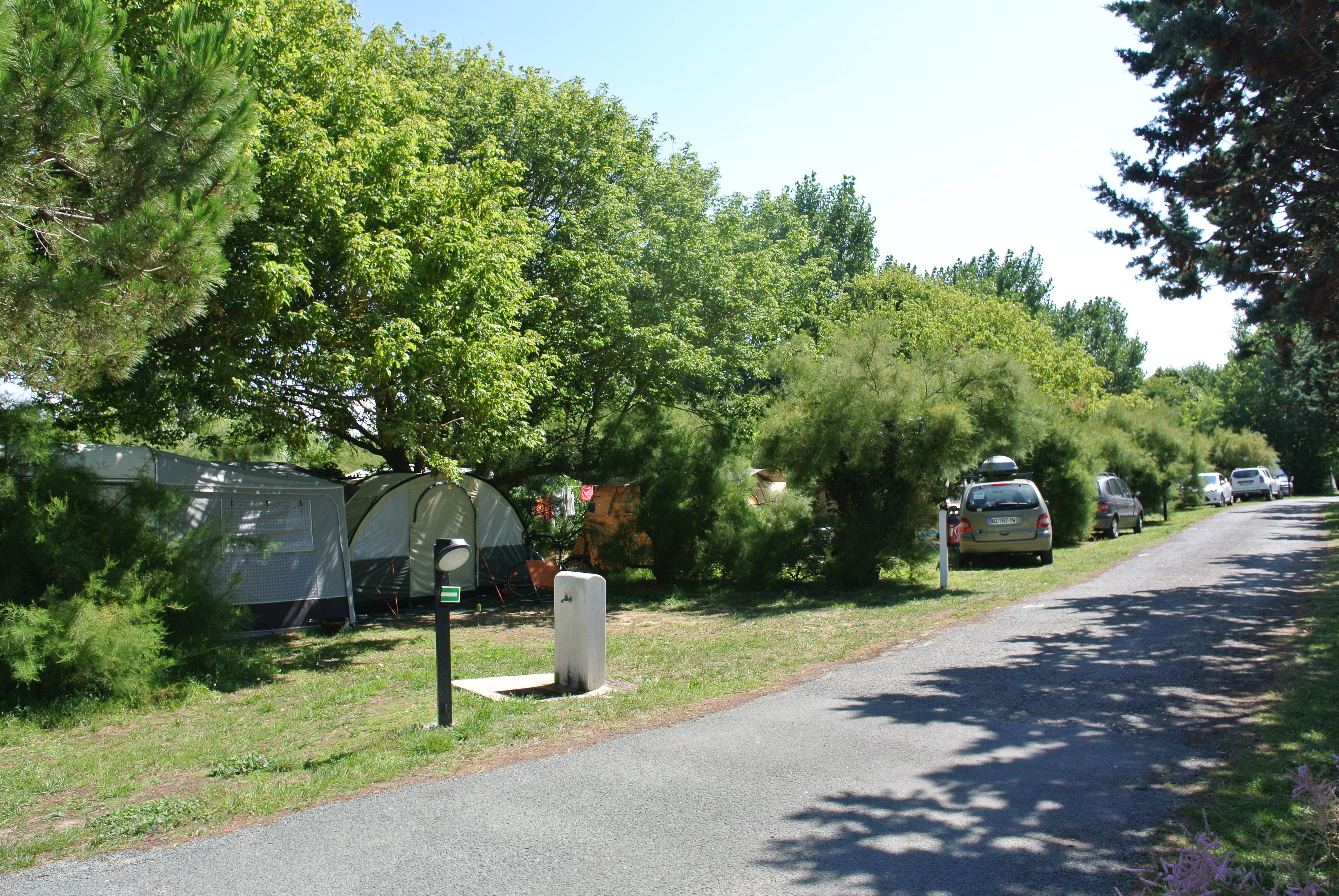 Tents and cars under trees along a campsite road surrounded by greenery at Seasonova Ile de Ré
