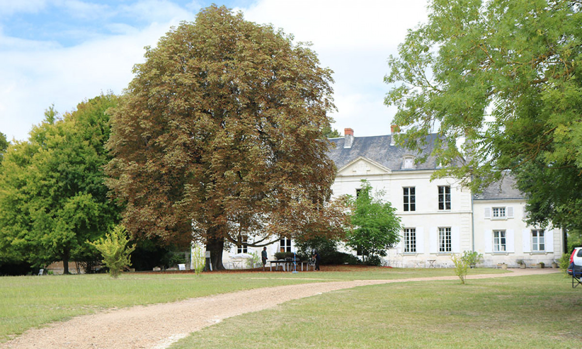 At Le Petit Trianon, a sizable tree provides shade in front of a historic white structure encircled by lush green grass.