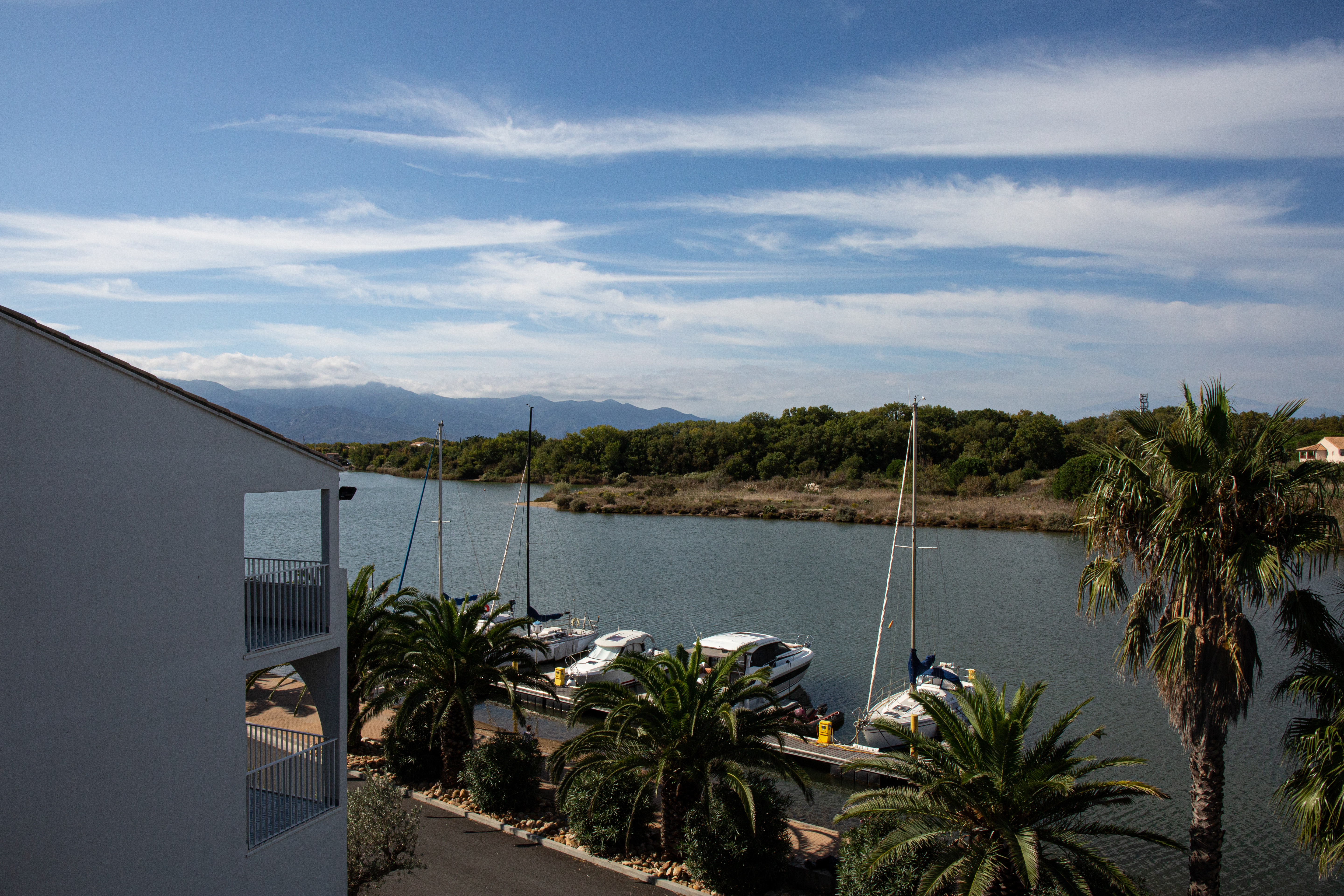 Boats docked at a marina, next to palm trees and a white building, with mountains in the background at Les Bulles de Mer