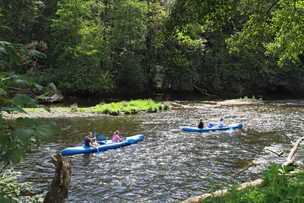 At Floreal la Roche, individuals navigate azure kayaks on a glistening river encircled by vibrant green trees and foliage.